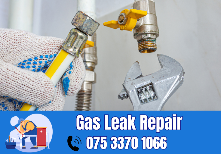 gas leak repair Greenhithe