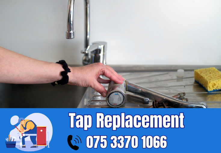 tap repair and replacement Greenhithe