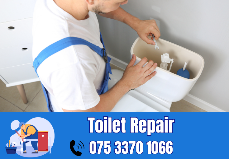 toilet repair Greenhithe